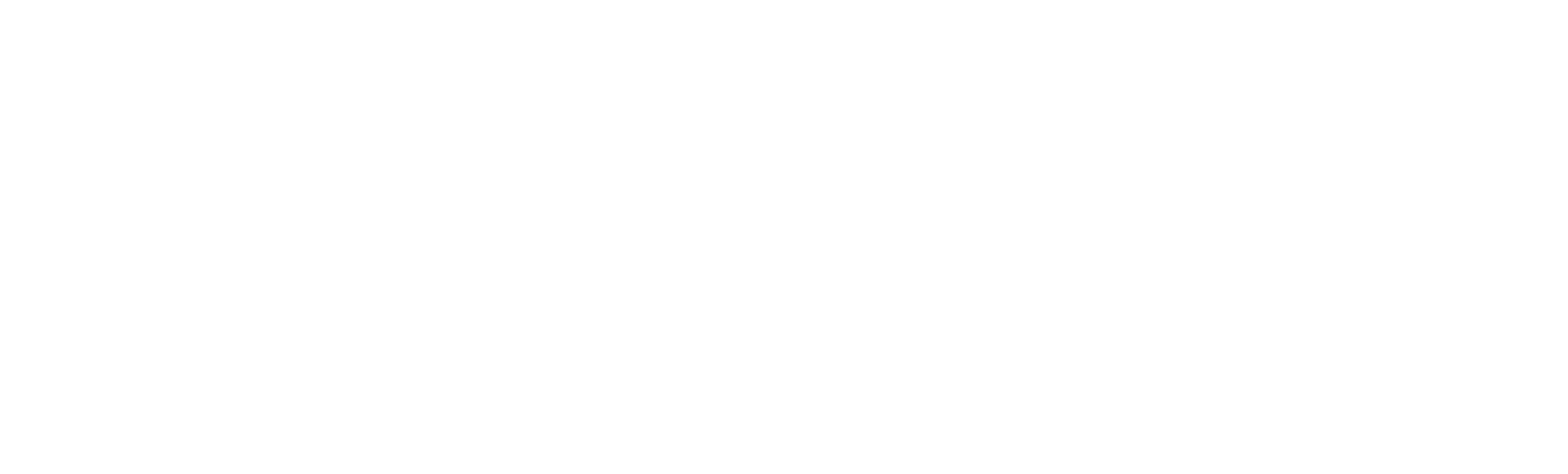 VisionNav Robotics